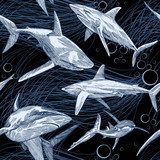 Rekin z ręcznie rysowaną podwodną rybą morską, Tapety Zwierzęta Tapeta