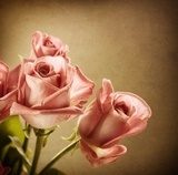 Retro róże – bukiet w klimacie vintage
 Kwiaty Obraz