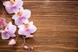 Sensualna orchidea na drewnie Kwiaty Fototapeta