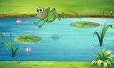 Skacząca, zielona żabka Fototapety do Przedszkola Fototapeta
