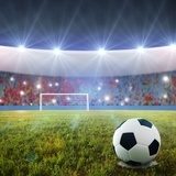 Soccer penalty kick  Stadion Fototapeta