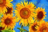 Sunflowers.Van Gogh style imitation. Digital painting. Van Gogh Obraz