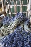Suszone lawendowe bukiety w wiklinowym koszu Prowansja Fototapeta