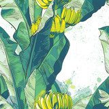tropikalny liść bananowca, tekstura owoców Tapety Owoce i Warzywa Tapeta