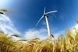 Turbiny – potęga wiatru, siła natury
 Krajobrazy Obraz