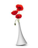 vase with three red poppies over white background Fototapety Maki Fototapeta