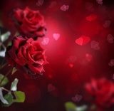 Walentynkowe róże – kwiaty dla zakochanych Kwiaty Fototapeta