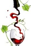 Wino z artystyczną duszą
 Obrazy do Kuchni  Obraz