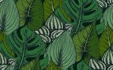 z kompozycjami ręcznie rysowane roślin tropikalnych Tapety Natura Tapeta