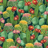 z kwitnącymi kaktusami Tapety Natura Tapeta