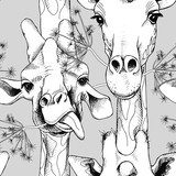 z wizerunkiem żyrafy mlaskającego trawę. czarno-biała Tapety Zwierzęta Tapeta