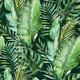 Zielona tropikalna palma Tapety Natura Tapeta