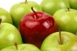 Zielone jabłka i czerwony rodzynek
 Obrazy do Jadalni Obraz