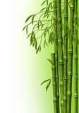 Zielony bambus – orient pośrodku Europy
 Obrazy do Łazienki Obraz