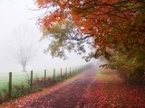 Złota jesień – poranek we mgle
 Krajobrazy Obraz