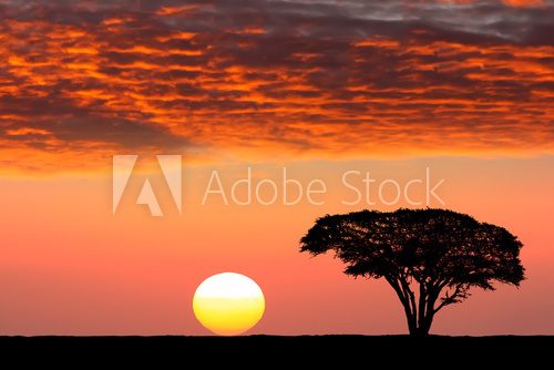 Afrykański zachód słońca  Zachód Słońca Fototapeta