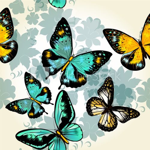 Beautiful seamless vector  pattern with butterflies  Motyle Fototapeta