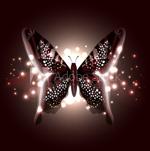 Beautiful Abstract Butterfly  Motyle Fototapeta