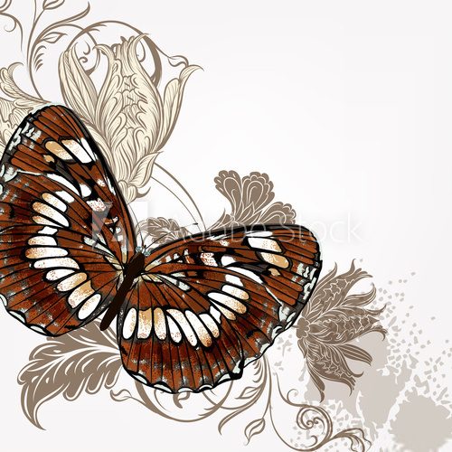 Vector background with butterfly  Motyle Fototapeta