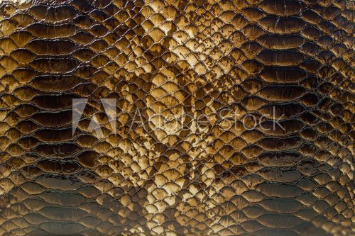 Snake skin pattern background  Tekstury Fototapeta