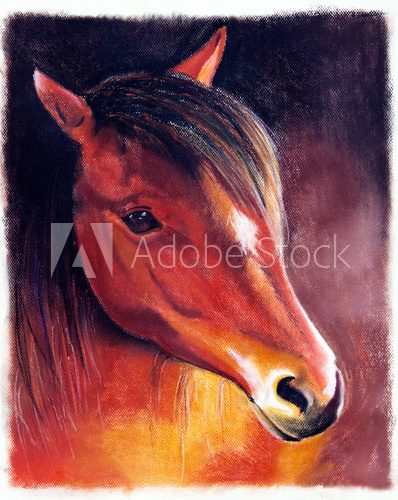 Pferdekopf - Zeichnung  Olejne Obraz