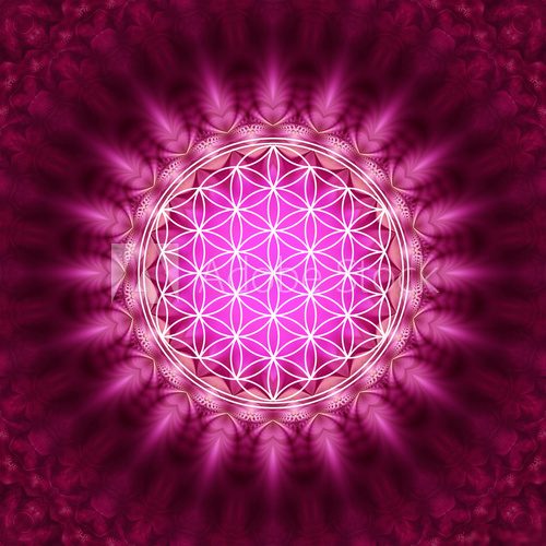 Blume des Lebens -  Energetisierung, Heilige Geometrie  Orientalne Fototapeta