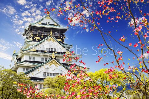 Osaka castle for adv or others purpose use  Orientalne Fototapeta