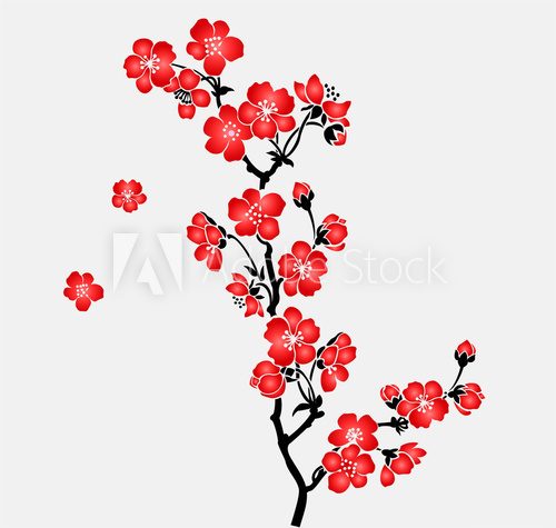A branch of blooming cherry tree Sakura  Orientalne Fototapeta