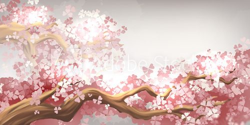 Sakura branch blooming  Orientalne Fototapeta