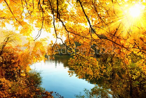 Herbstsonne am Fluss  Las Fototapeta
