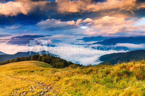 Beautiful summer landscape in the mountains.  Krajobraz Fototapeta
