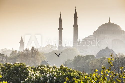 Sultanahmet Camii / Blue Mosque, Istanbul, Turkey  Orientalne Fototapeta