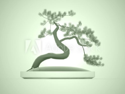 Asian bonsai tree on green  Orientalne Fototapeta