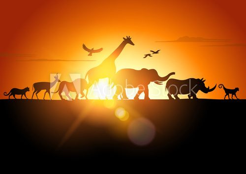 Zachód słońca w Afryce Zwierzęta Fototapeta