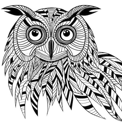 Owl bird head as halloween symbol for mascot or emblem design, s  Zwierzęta Fototapeta