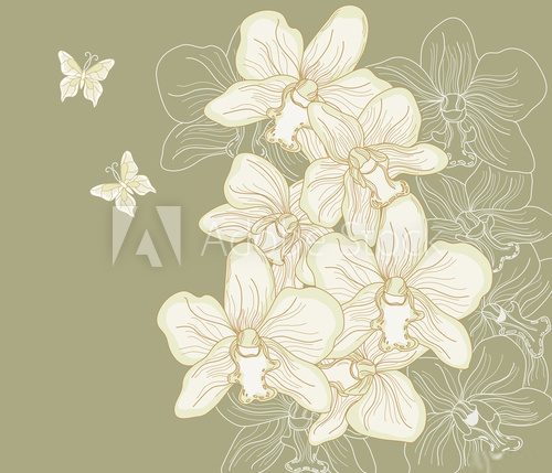 orchidee disegnate a mano libera su sfondo scuro  Rysunki kwiatów Fototapeta
