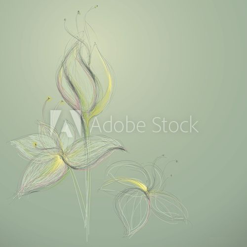 Sketch of abstract flowers / Vector illustration  Rysunki kwiatów Fototapeta
