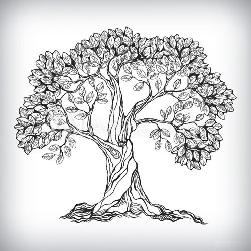 Hand drawn tree symbol  Drawn Sketch Fototapeta
