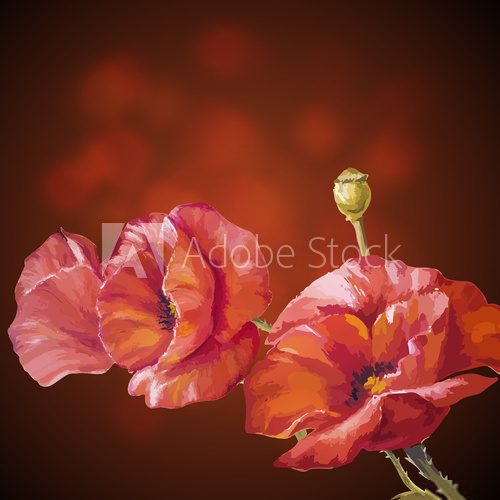 Card with poppies flowers on dark background.  Fototapety Maki Fototapeta