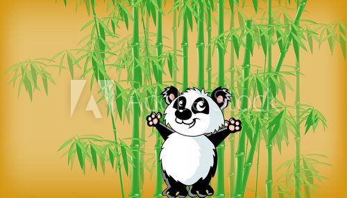 panda  Orientalne Fototapeta