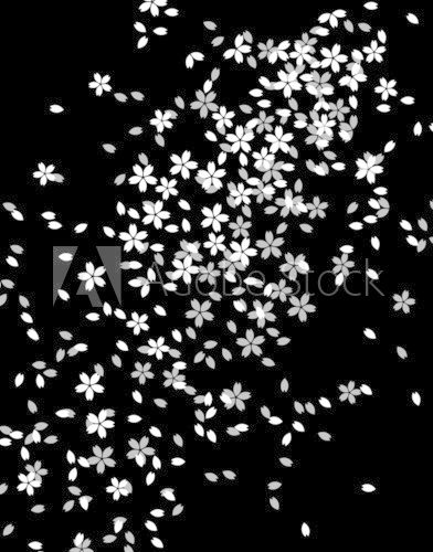 Gwiezdna polana w czerni i bieli Fototapety do Sypialni Fototapeta