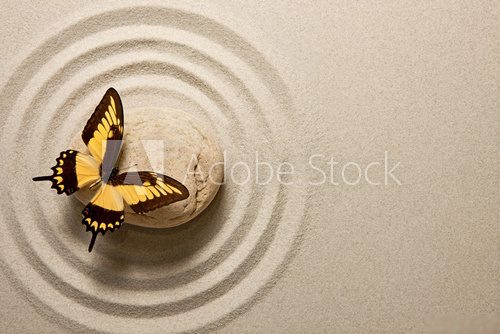 Zen stone with butterfly  Motyle Fototapeta