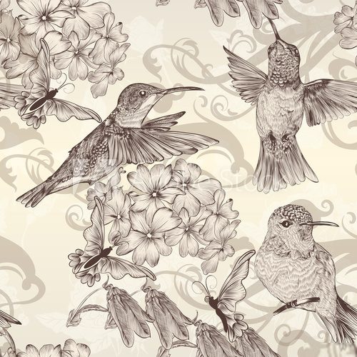 Beautiful vector seamless wallpaper with  humingbirds in vintage  Drawn Sketch Fototapeta