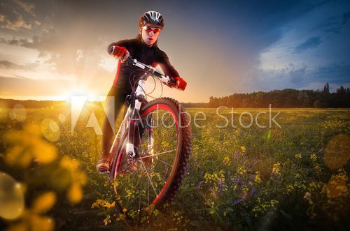 Sport bike, cycling in the beautiful meadow  Sport Plakat