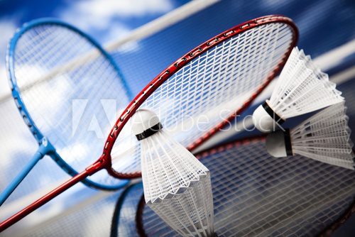 Shuttlecock on badminton racket   Sport Plakat