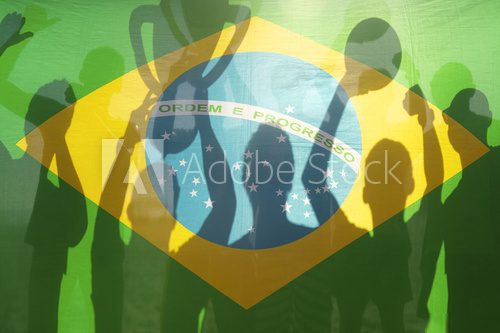 Champion Winning Football Team Brazilian Flag  Sport Plakat