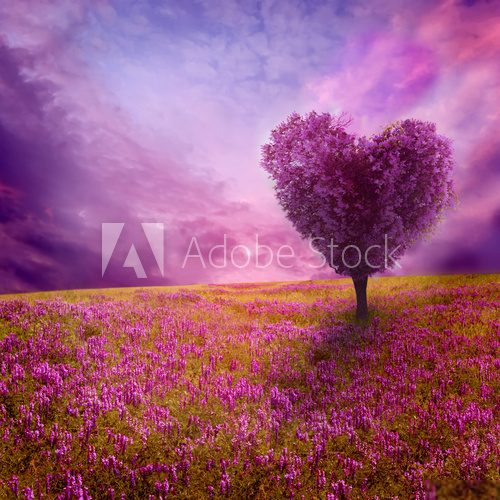 Drzewo w kolorze miłości Fototapety do Salonu Fototapeta