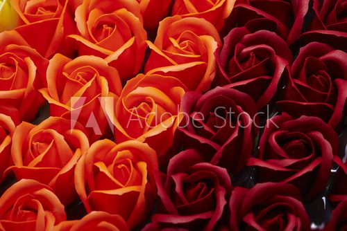Mendel róż i jeszcze trochę  Fototapety do Sypialni Fototapeta