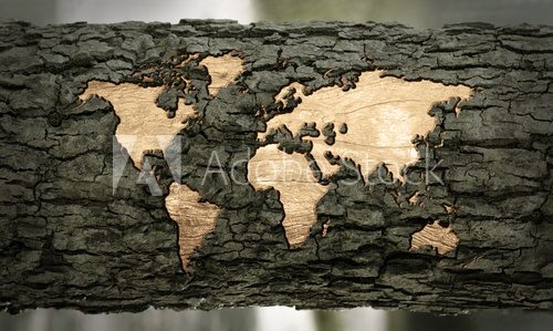 world map carved in tree bark  Mapa Świata Fototapeta
