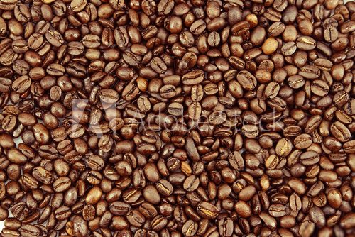 Coffee beans  Kawa Fototapeta